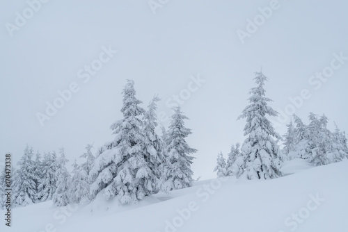 Fantastic winter landscape