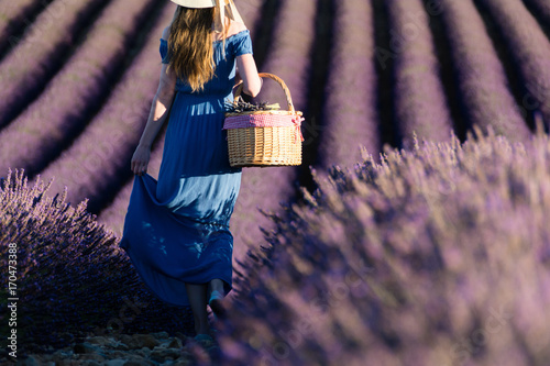 Girl in a white hat with a basket walking through lavender fields