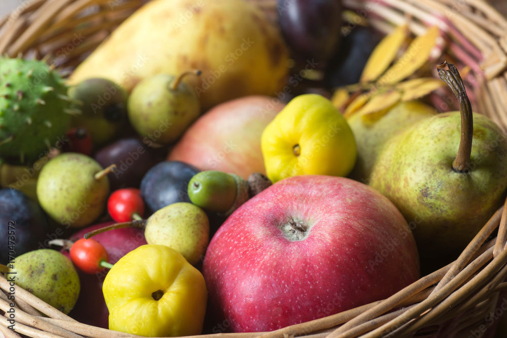 fall fruits in basket still life fall fruits in basket still life