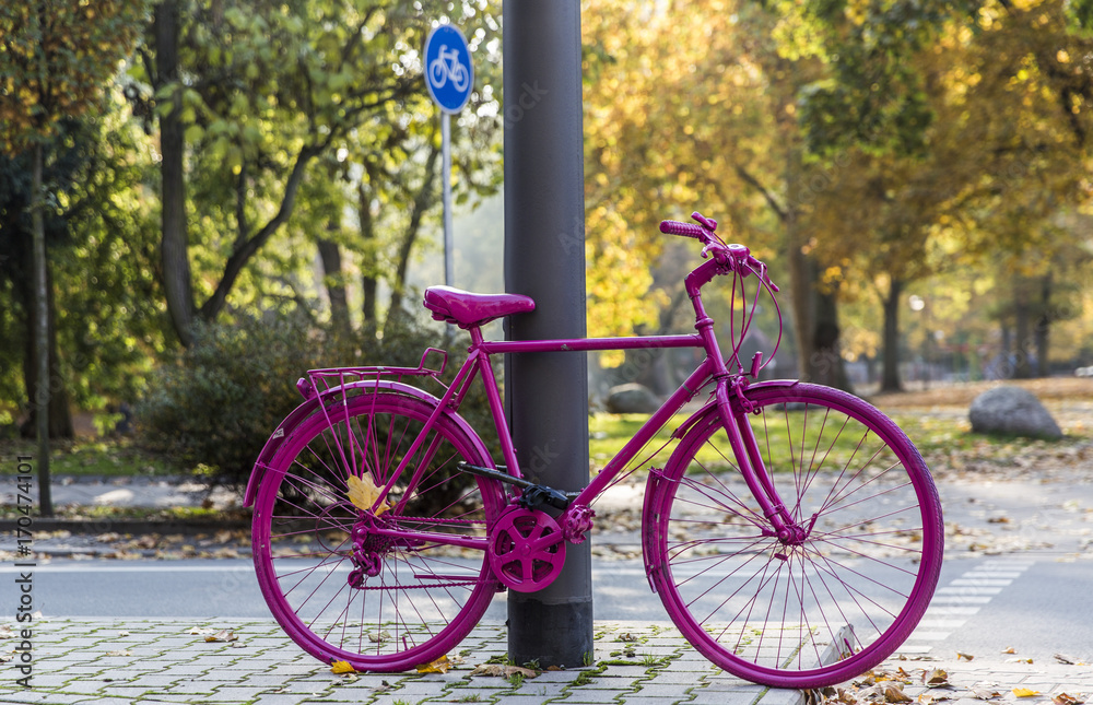 Colorful bicycle in the park at autumn