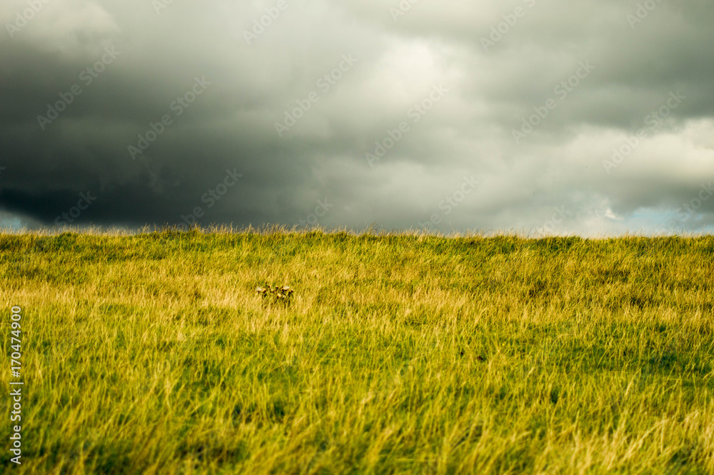 Schlechtwetterfront