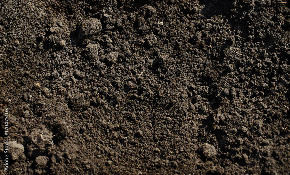 Closeup Black color soil texture Closeup Black color soil texture