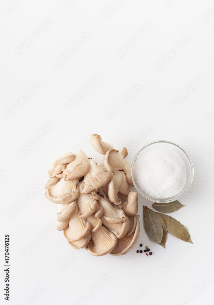 Raw oyster mushrooms on white background Raw oyster mushrooms on white background