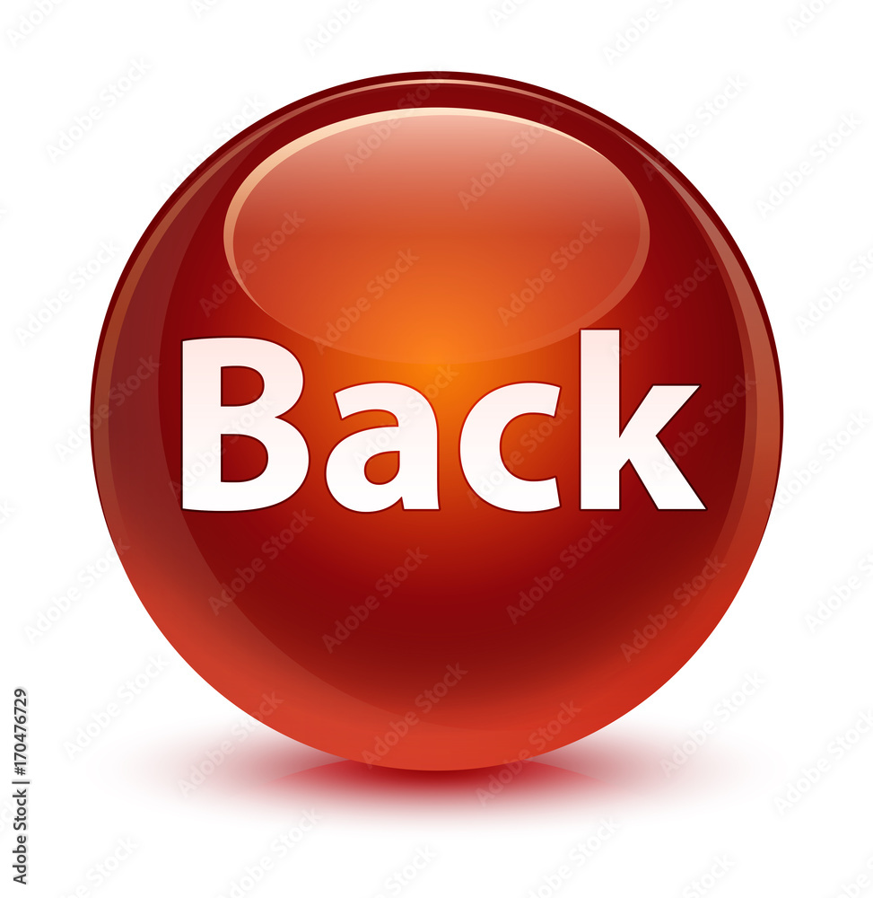 Back glassy brown round button Back glassy brown round button