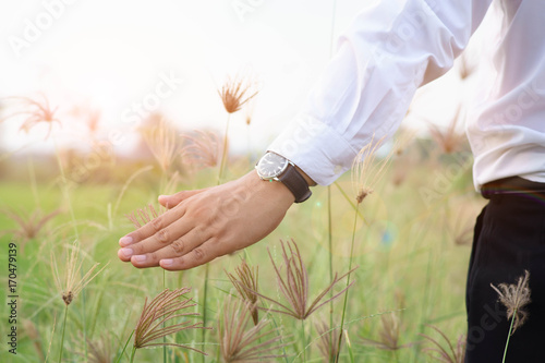 Concept of freedom with hand of businessman and meadow.