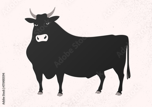 Vector illustration of a bull