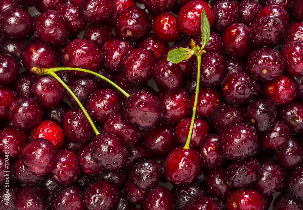 Freshly red cherry berries with water droplets. Healthy food background Freshly red cherry berries with water droplets. Healthy food background