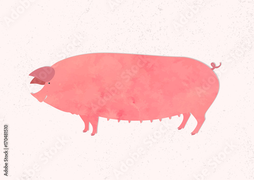 Vector illustration of a pig