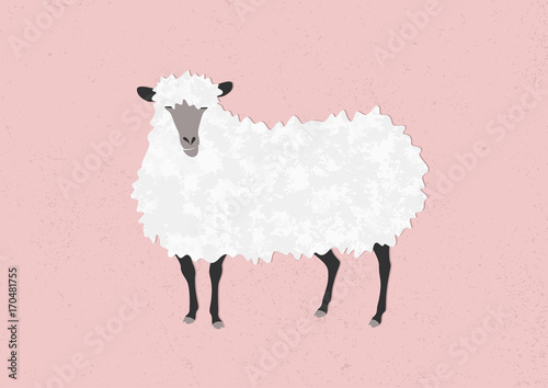 Vector illustration of a sheep