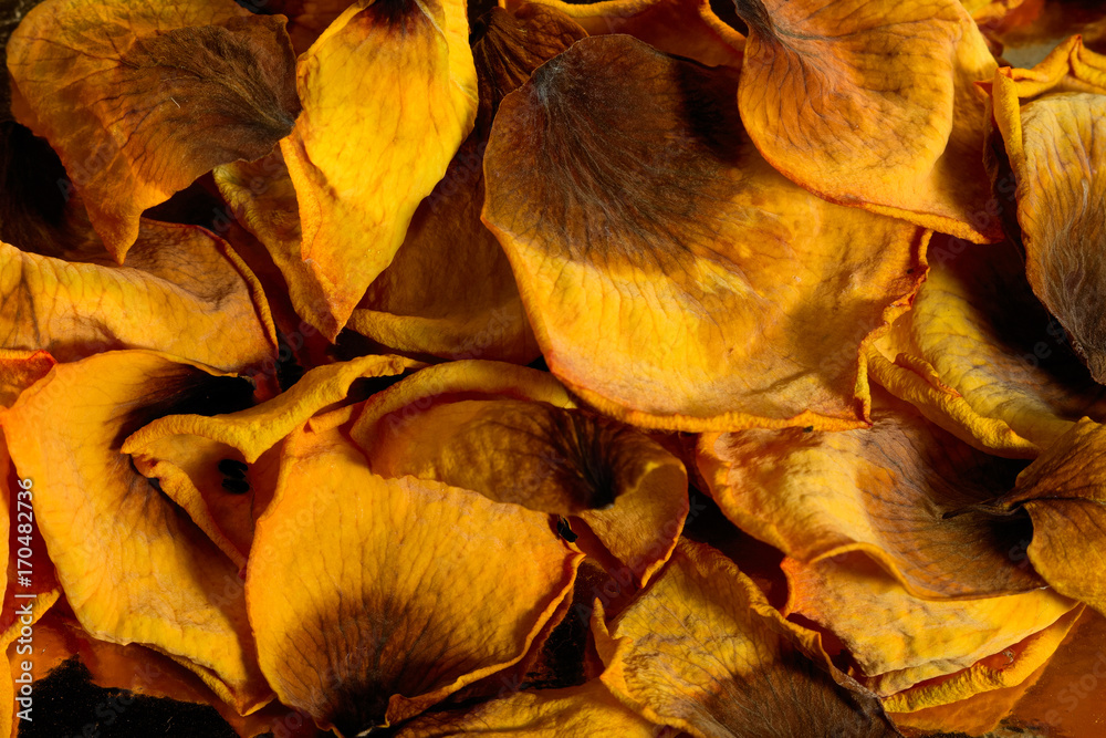 Background of dried yellow rose petals Background of dried yellow rose petals
