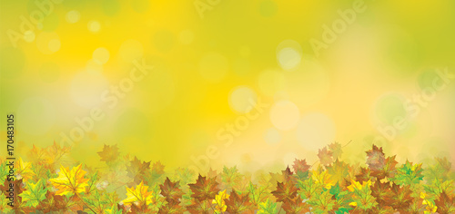 Vector autumnal leaves border, bokeh  background.