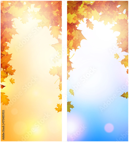 Autumn cards with orange leaves.