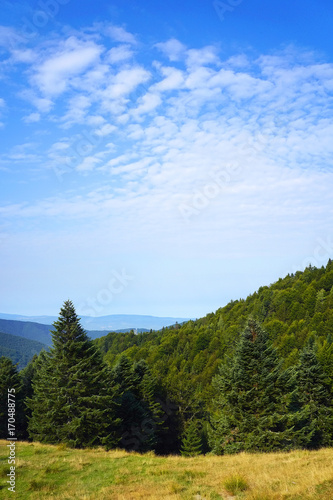 Alpine landscape in Tarcu Mountains  Carpathians  Romania  Europe