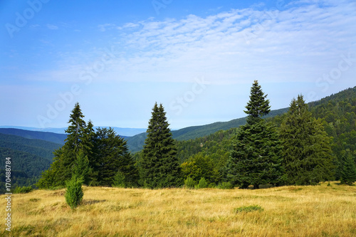 Carpathians Mountains, Transylvania, Romania