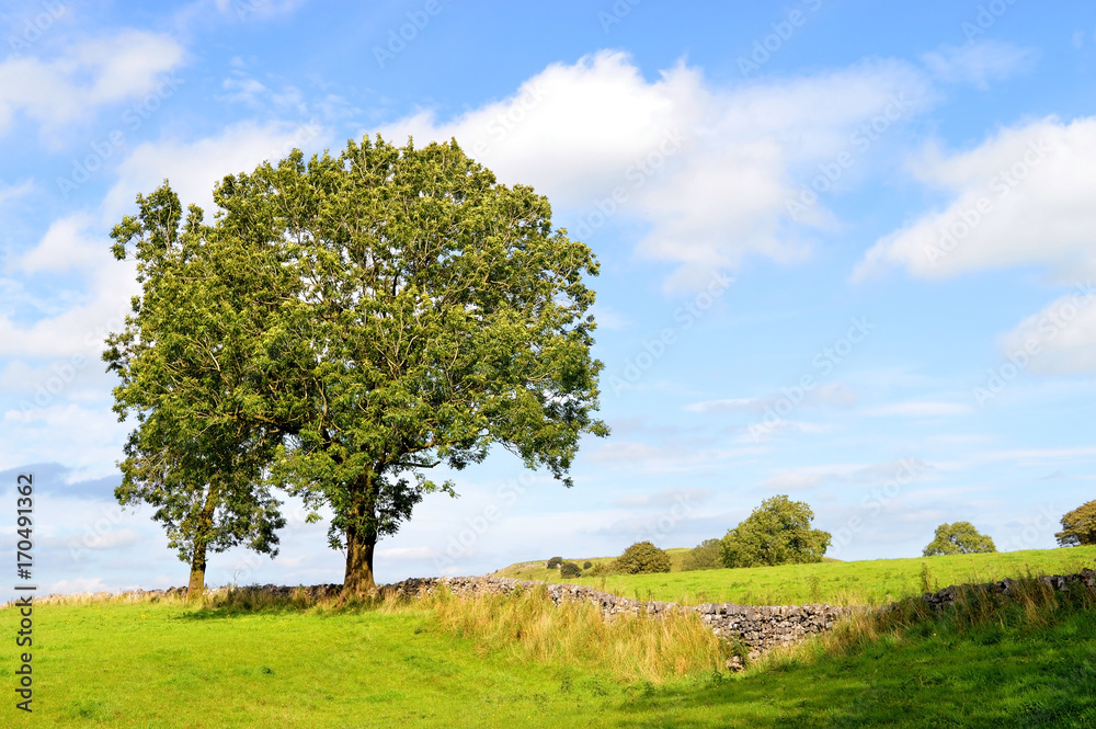 Peak District National Park