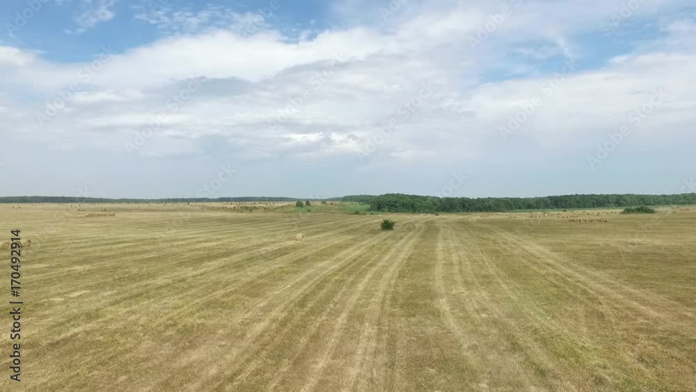 Aerial view of hay bales in agriculture field in rural. Russia, Stavropol. Aerial view of hay bales in agriculture field in rural. Russia, Stavropol.