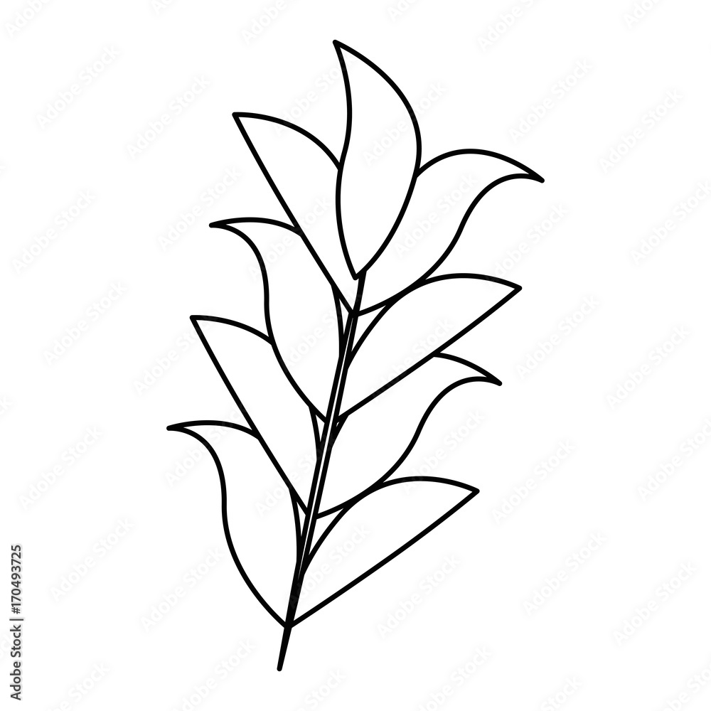 leaf plant decorative icon vector illustration design