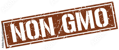 non gmo square grunge stamp