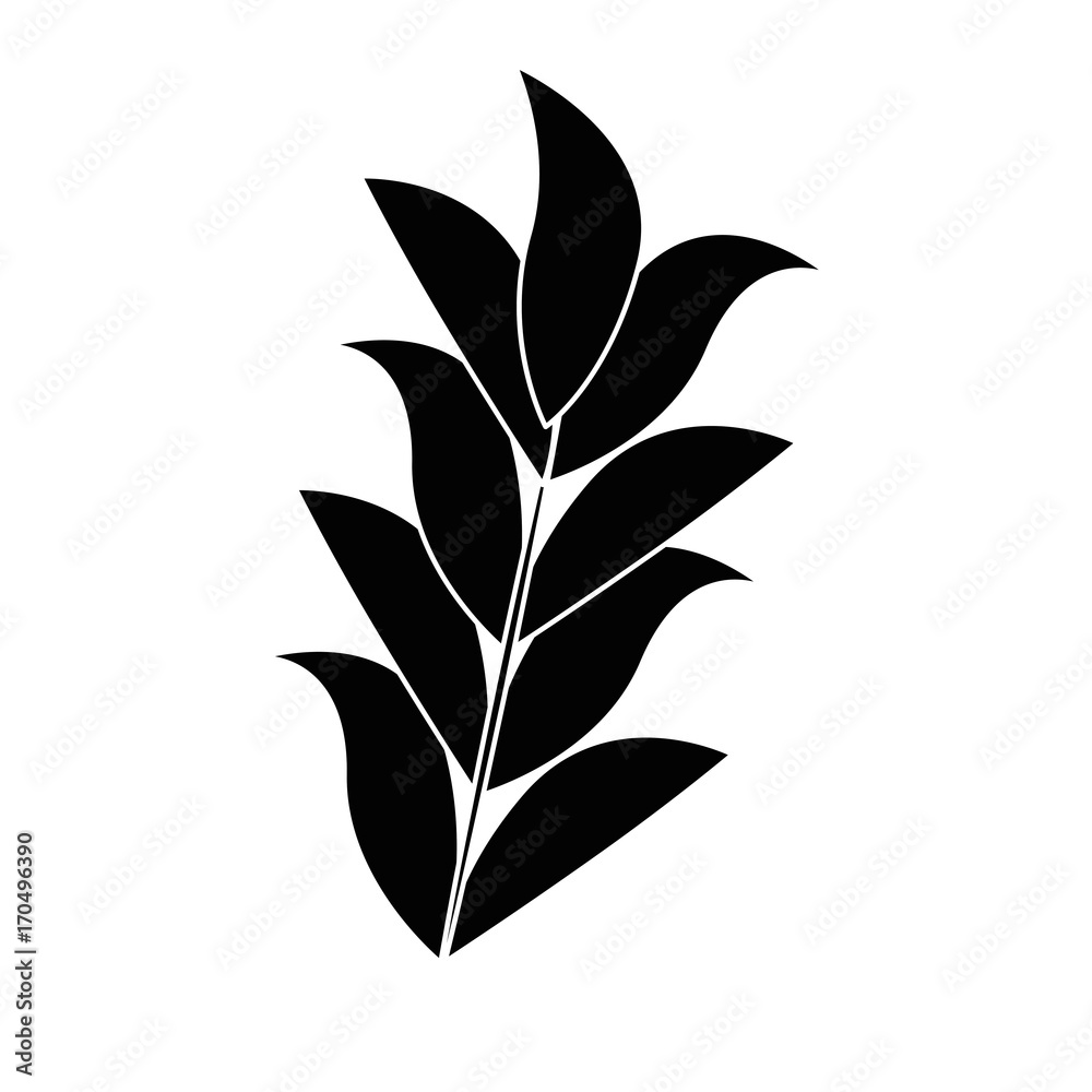 leaf plant decorative icon vector illustration design leaf plant decorative icon vector illustration design