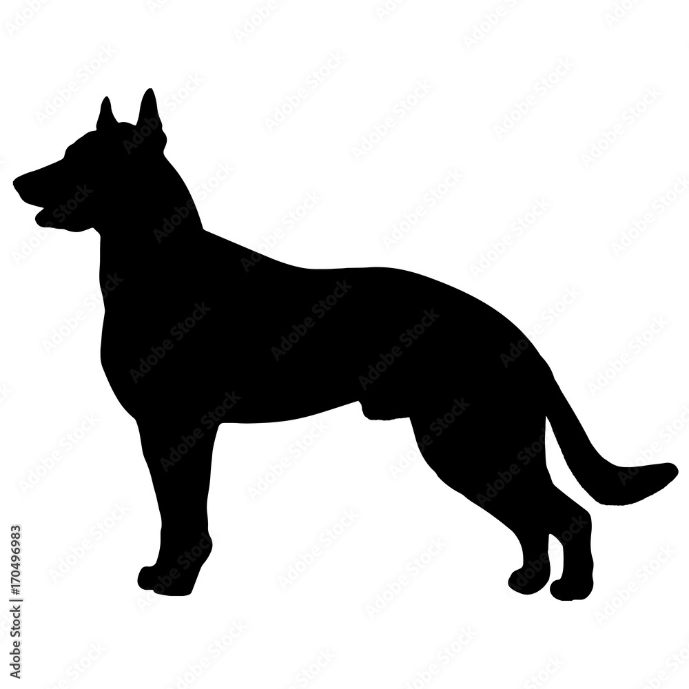 Silhouette of a dog.Vector illustration