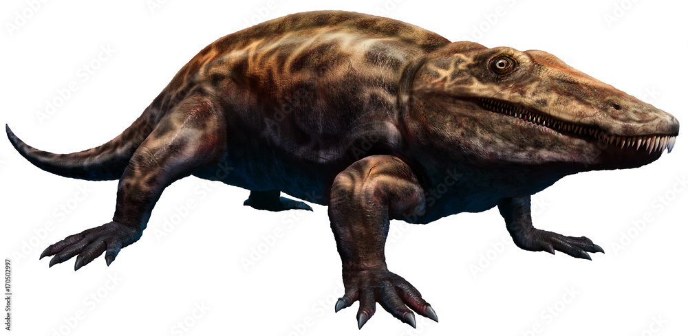Eryops from the Permian era 3D illustration Eryops from the Permian era 3D illustration