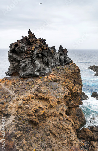 Scenic wild view of volcanic rock coast and natural pools of thr northern Tenerife, Canary Islands, Spain © Nina Nagovitsina