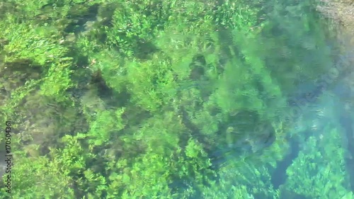 Fontaine de Vaucluse acque trasparenti in Provenza photo