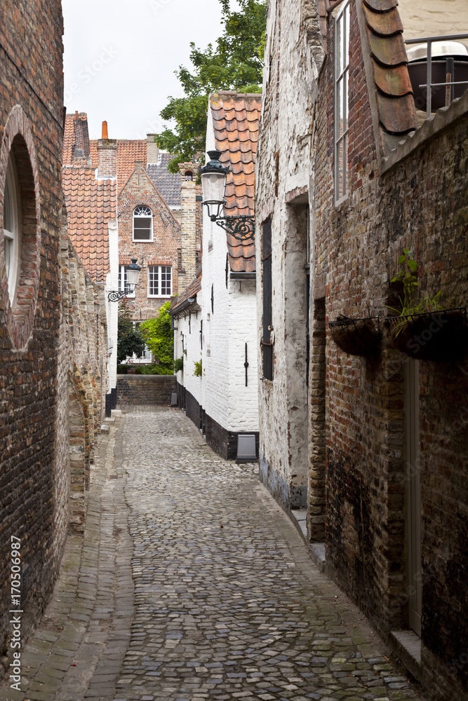 Narrow Alley In Bruges