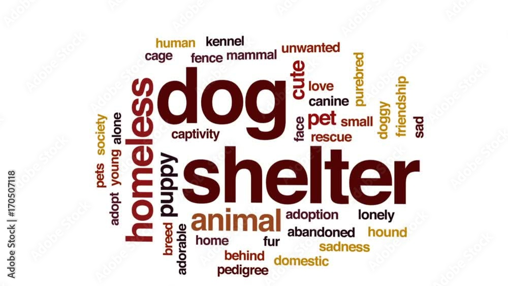 Dog shelter animated word cloud, text design animation. Dog shelter animated word cloud, text design animation.