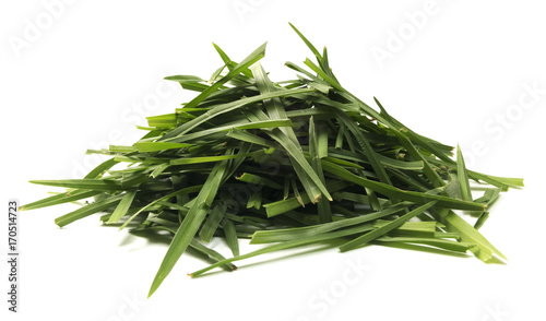 Isolated Pile Of Grass