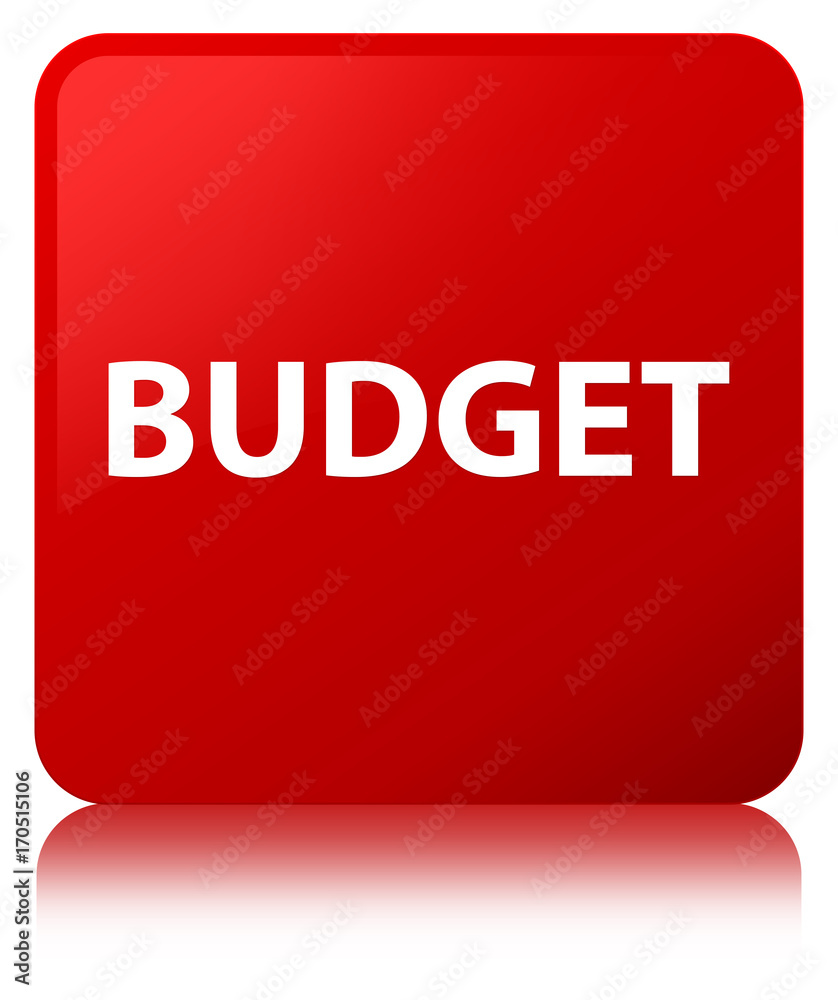 Budget red square button Budget red square button