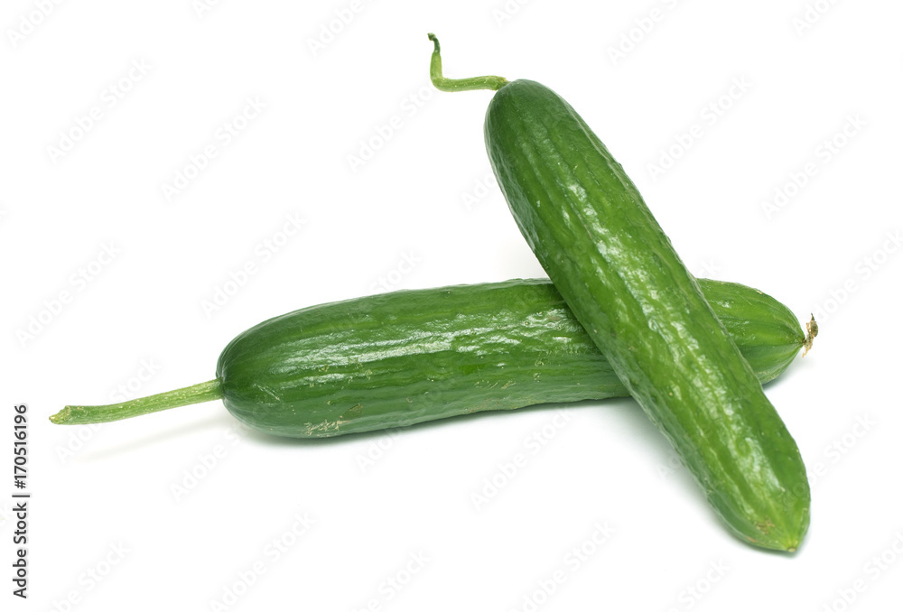 Two green cucumbers on a white background Two green cucumbers on a white background