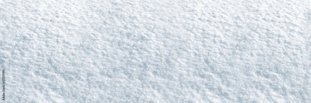Neige / Snow texture - obrazy, fototapety, plakaty 