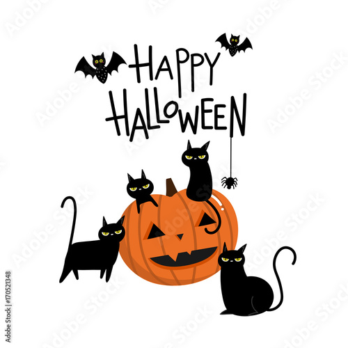 Happy Halloween witch black cat and pumpkin