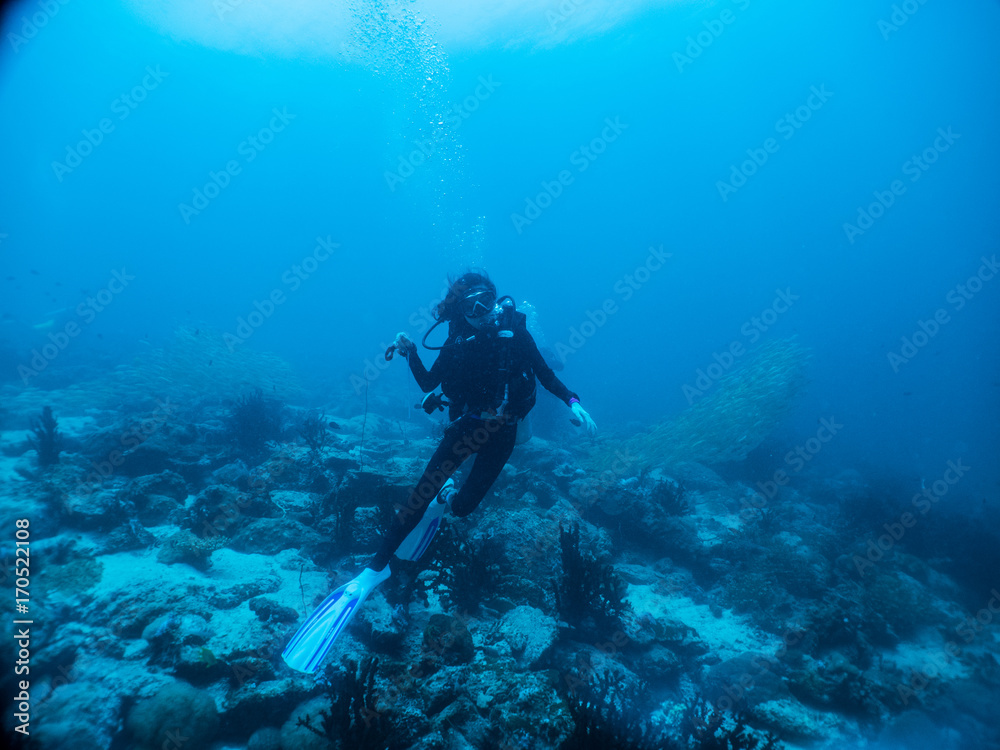 Woman scuba diver under blue water with school of snapper fish