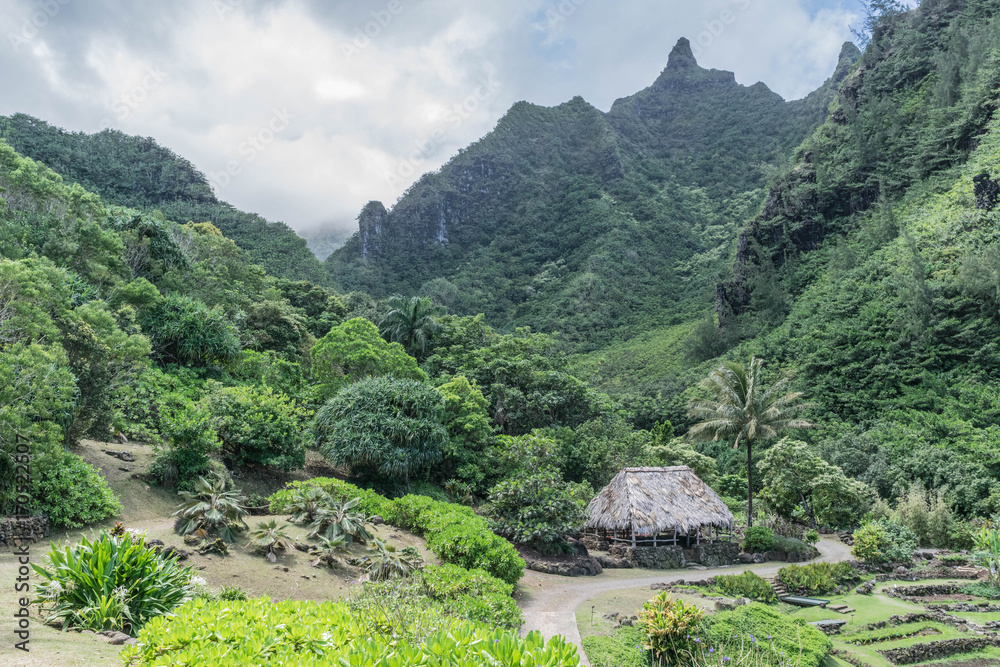 Limahuli Gardens And Preserve | Fasci Garden