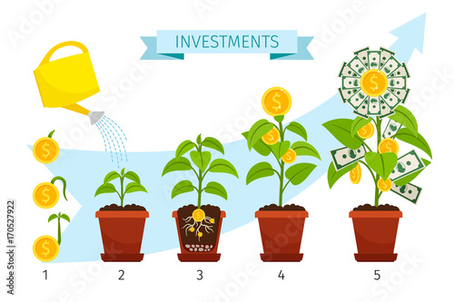 Investments process with money tree growing