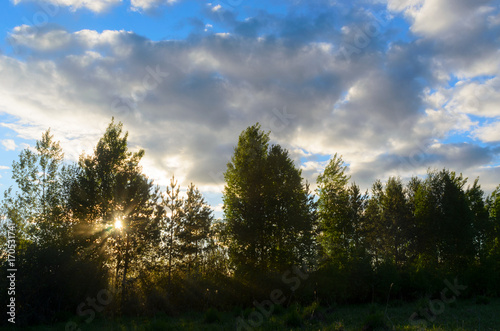 Bright sun behind the trees in the woods behind a field of grass, sits in the sunset over the horizon, under the white clouds in the blue sky, yellow rays lighting up the landscape. photo