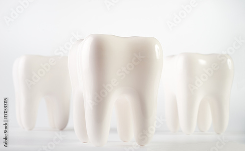 White healthy human teeth implant model