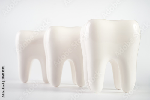 White healthy human teeth implant model