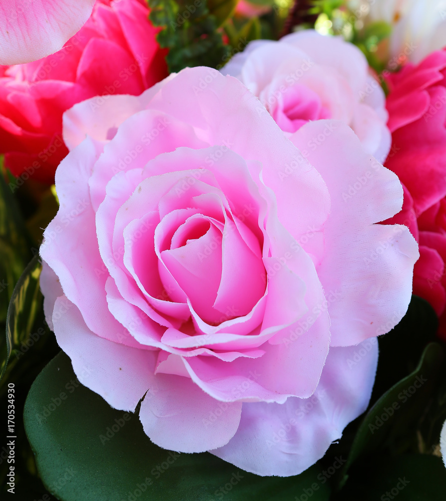 Fototapeta premium Colorful artificial roses flowers.