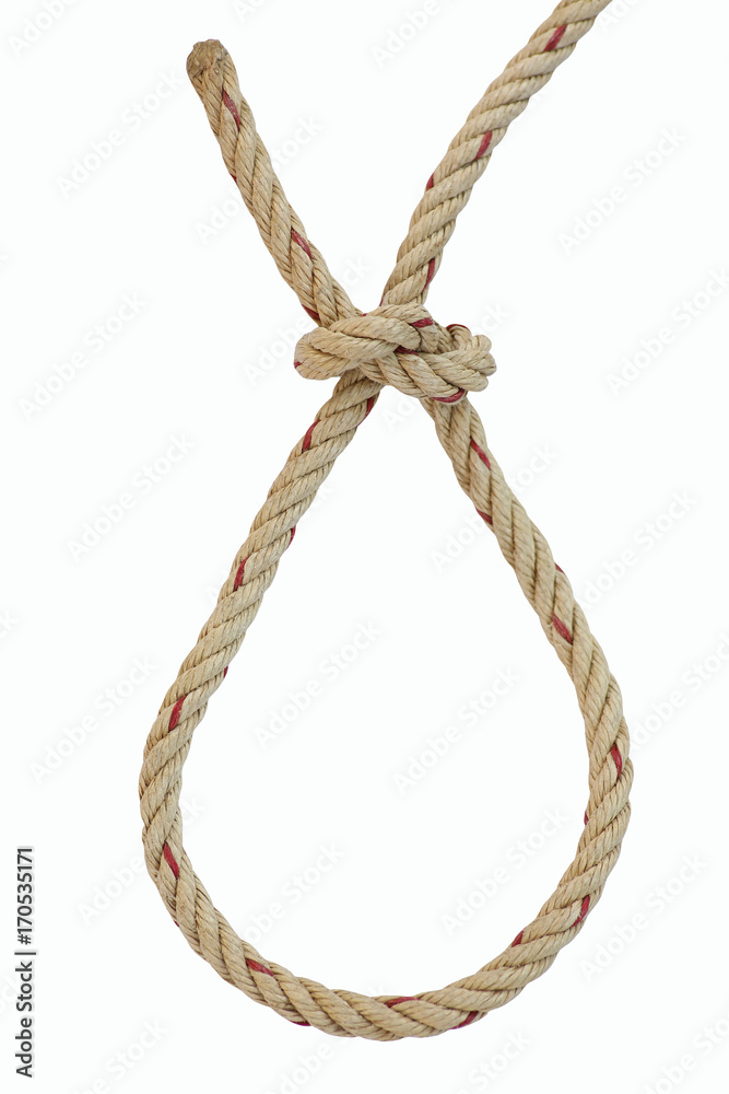 noose rope / loop knot isolated on white. Stock Photo