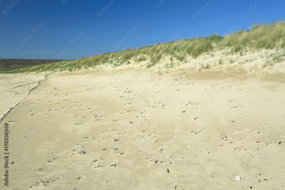 Dünen am Atlantik, Plage de Kersiguenou, Finistere, Bretagne, Frankreich
