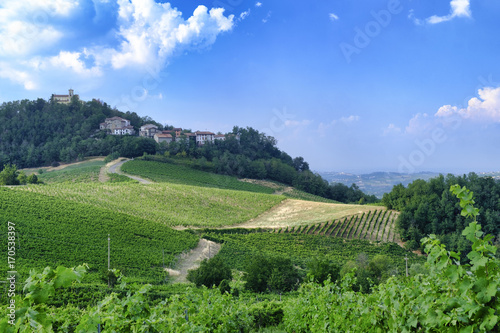 Oltrepo Pavese (Italy), rural landscape at summer