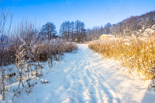 Winter wonderland landscape with road in snow  rural scenery in sunny day