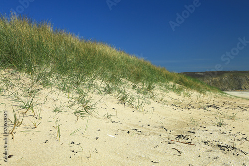 Dünen am Atlantik, Plage de Kersiguenou, Finistere, Bretagne, Frankreich