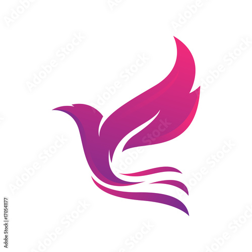beautiful dove pigeon bird logo