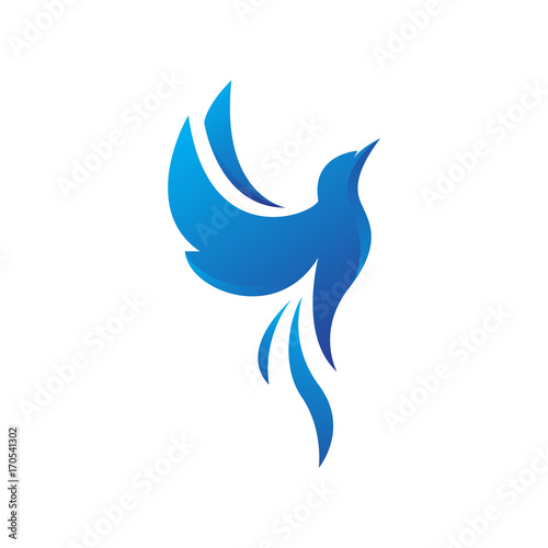 beautiful dove pigeon bird logo