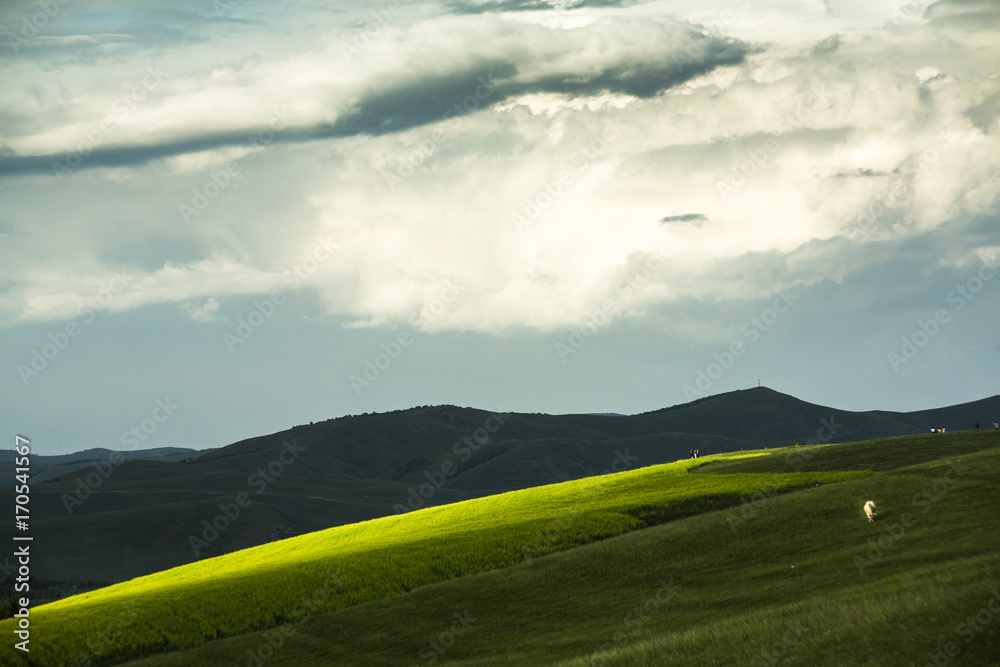 Obraz premium rainbow over grassland