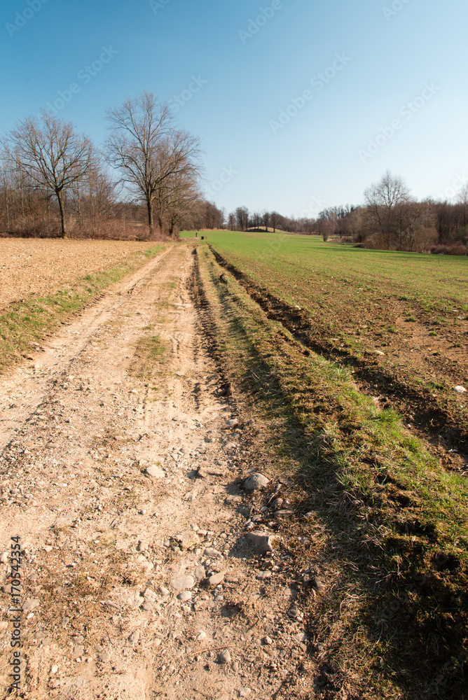 Spring walk between the fields and in the woods. Friuli to discover Spring walk between the fields and in the woods. Friuli to discover